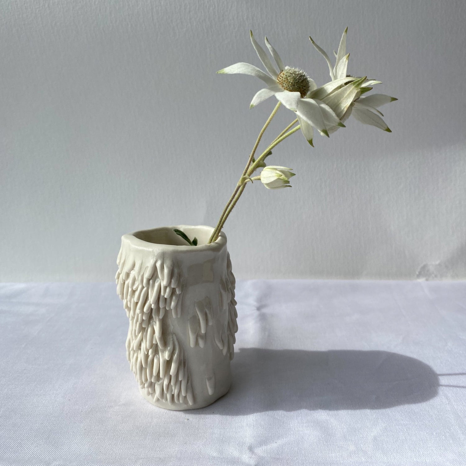 Ceramics